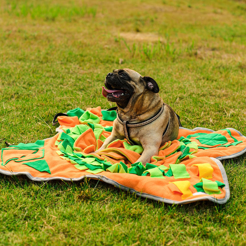 Dogs Snuffle Play Mat