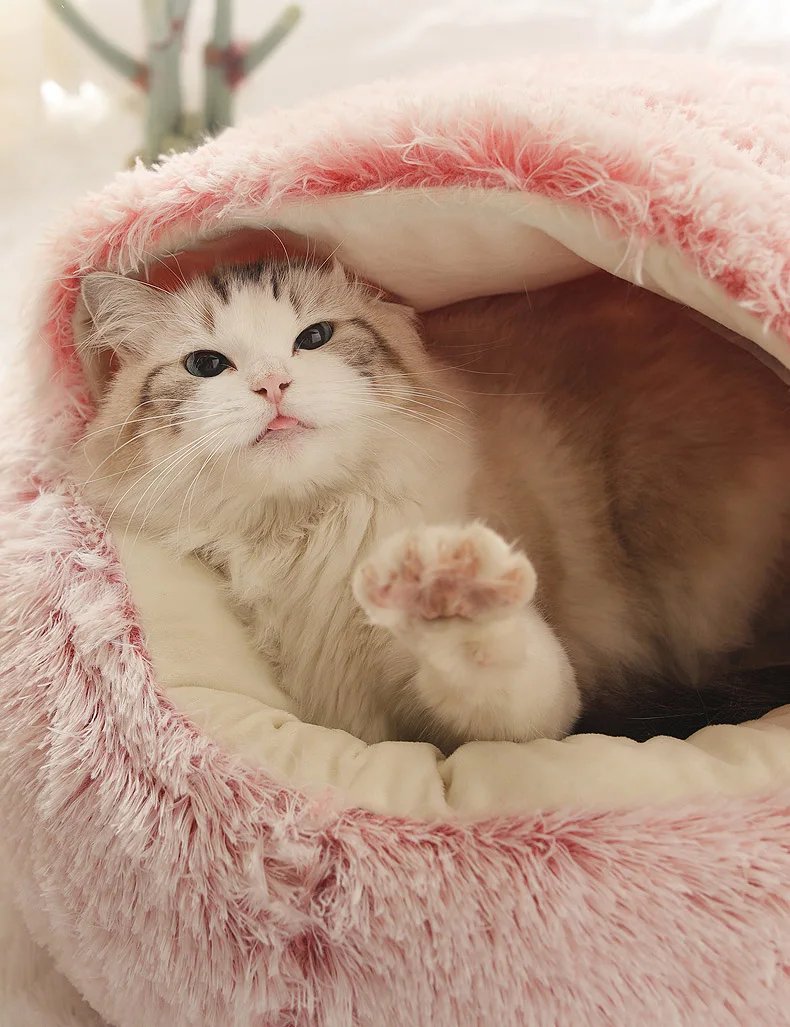 Cats Round Plush Bed